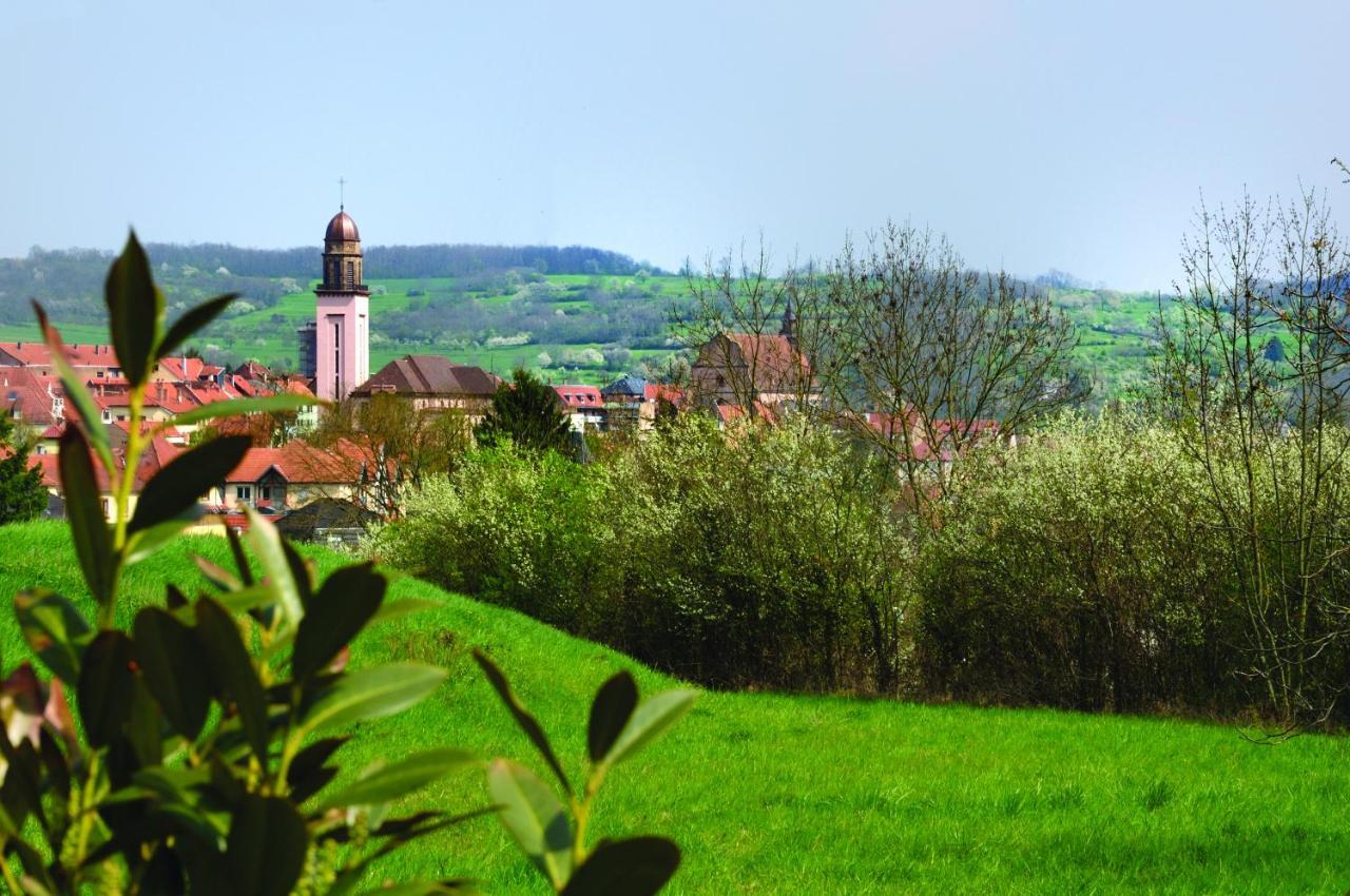 Le Relais De Wasselonne Aparthotel Bagian luar foto